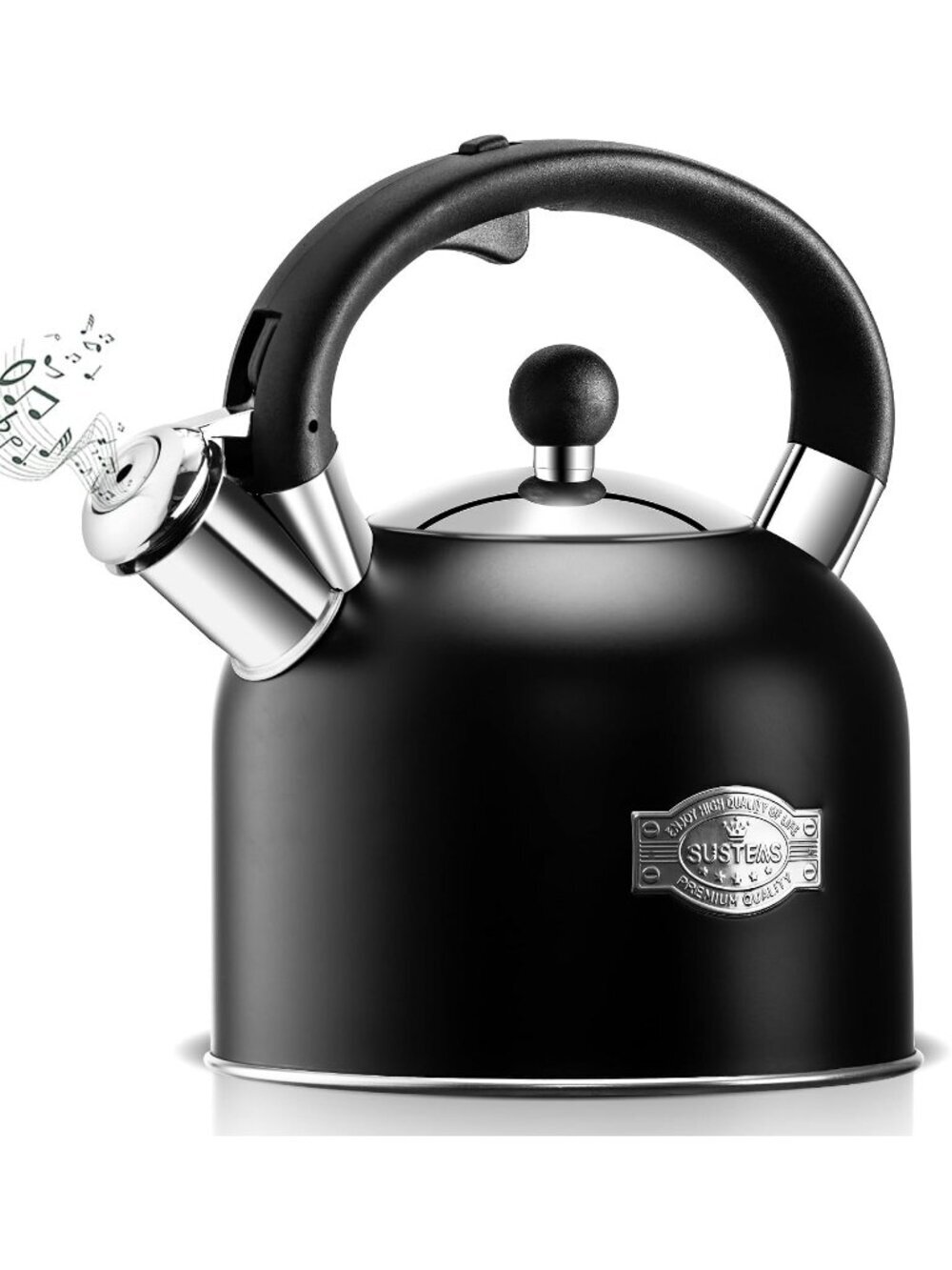 Black Whistling Teakettle 3.17QT Stainless Steel Stovetop with Ergonomic Handle